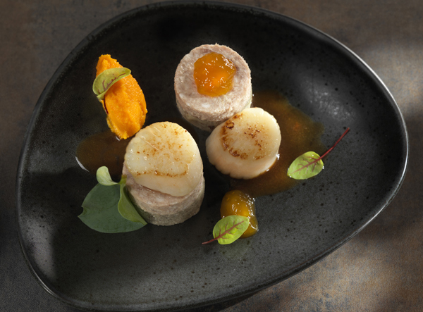 Sur un farz blé noir aux notes iodées, noix de St Jacques & pâté chaud